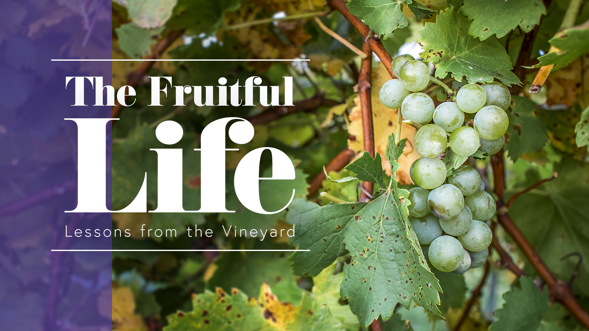 PlaceholderTitle_1920x1080_FruitfulLife