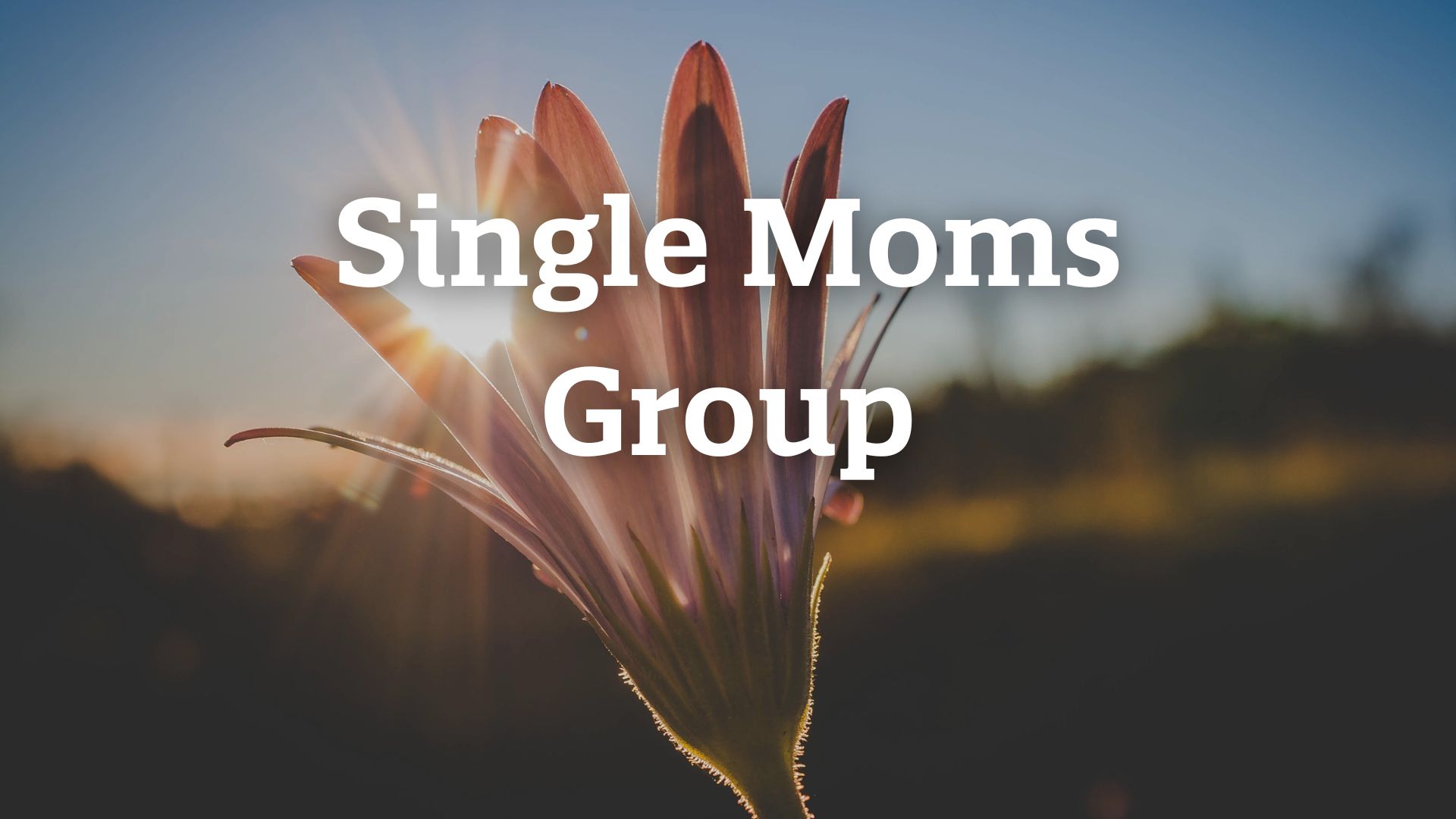 LWD_SupportGroups_SingleMoms