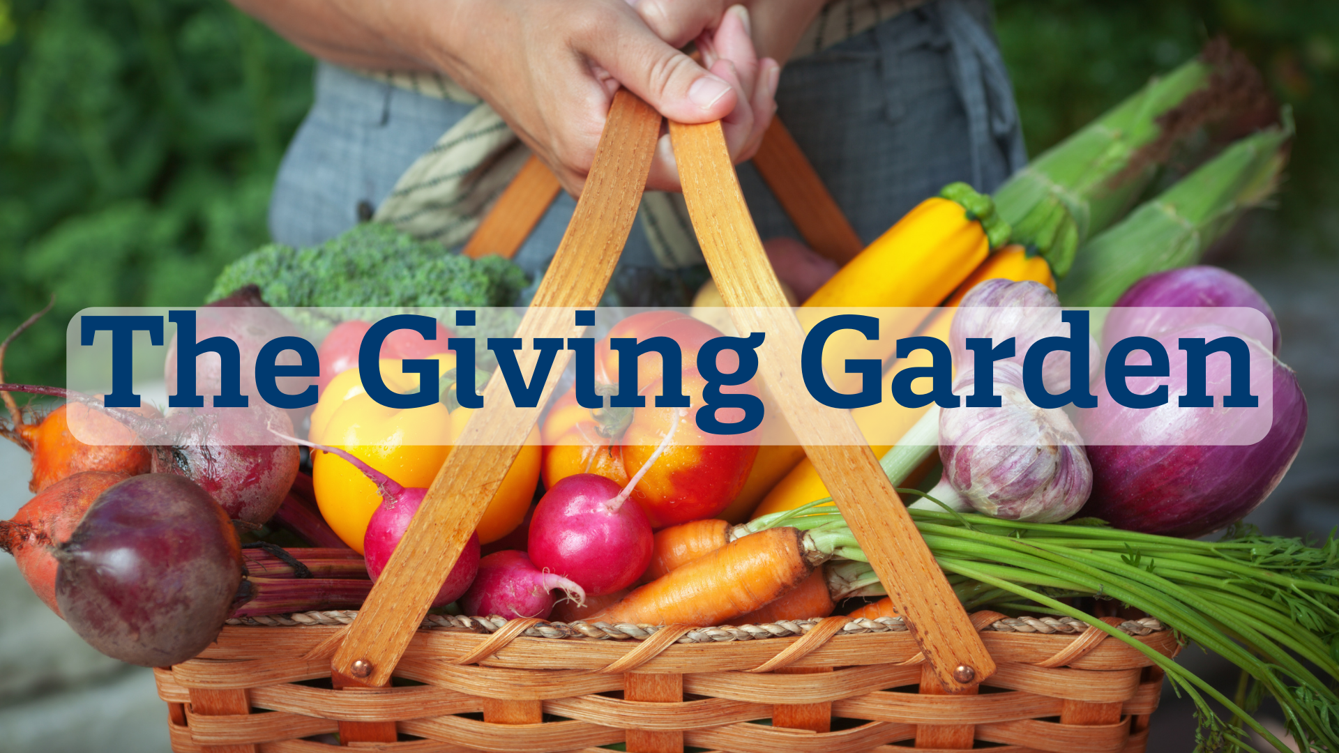 The Giving Garden