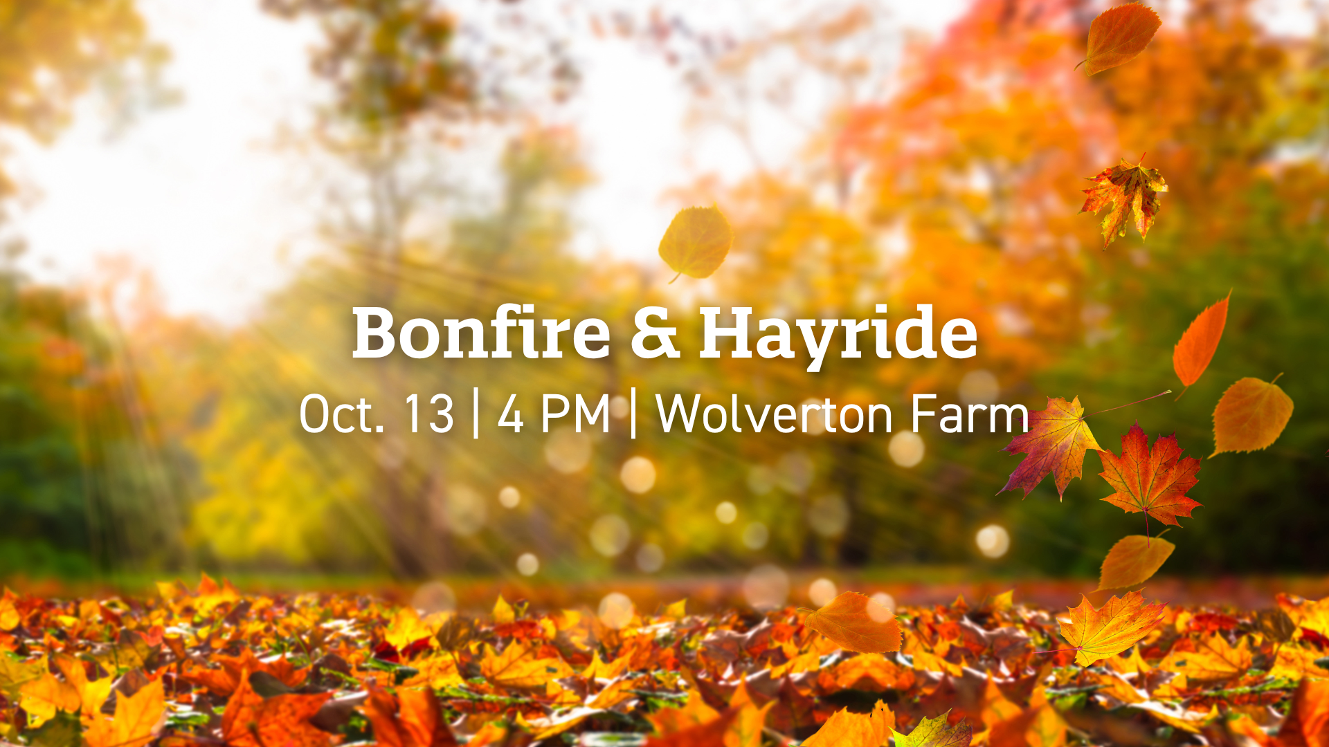 BSP_HayrideBonfire