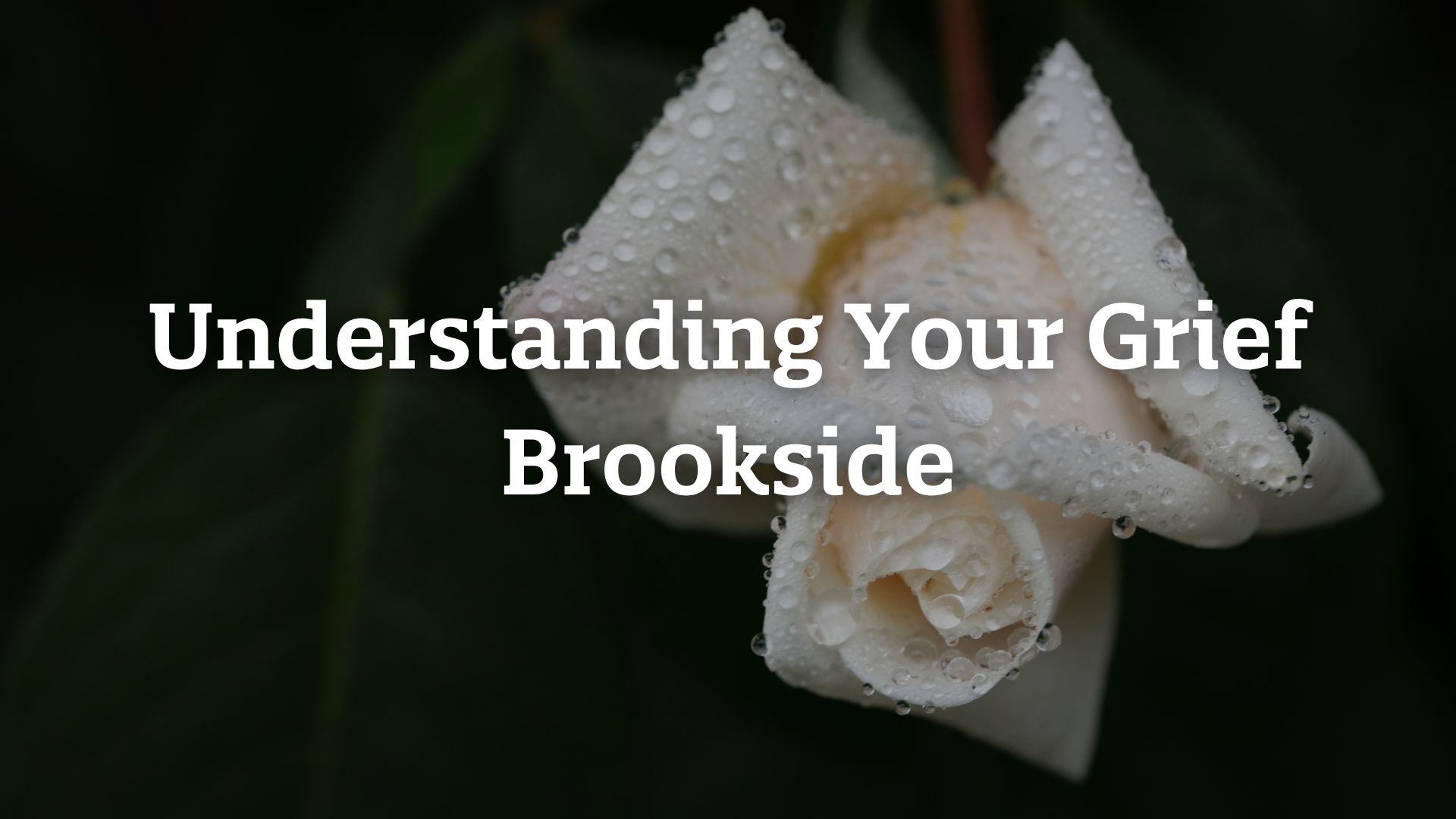 BKS_UnderstandingGrief_Evergreen