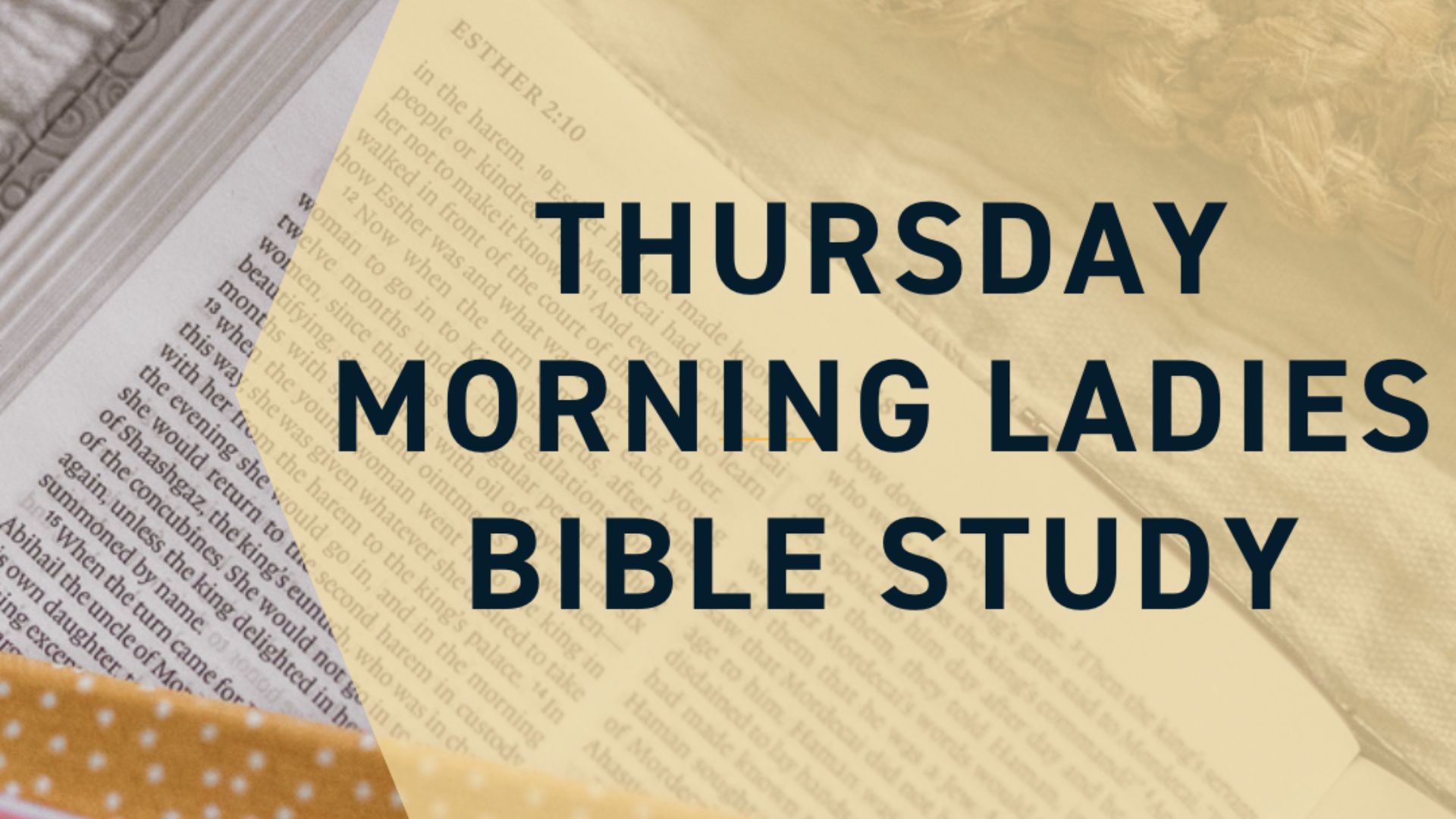 AD_Womens_ThursdayMorningBibleStudy