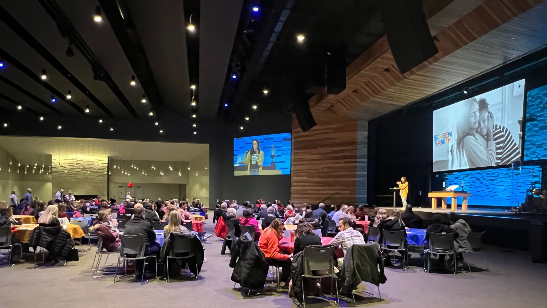 Screen Sanity 2023 Event Picture