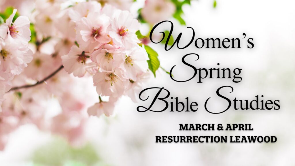 Women's Spring Bible Studies (2)