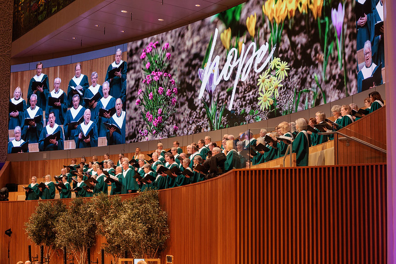 53627580364_b3db9e1f60_c