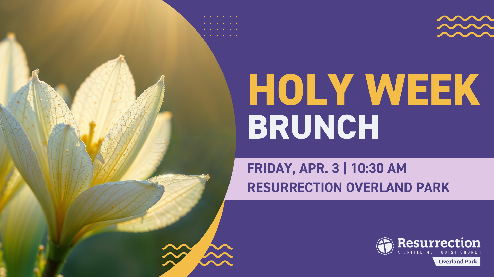 Copy of Event Placeholder Graphic 1920x1080 (1)