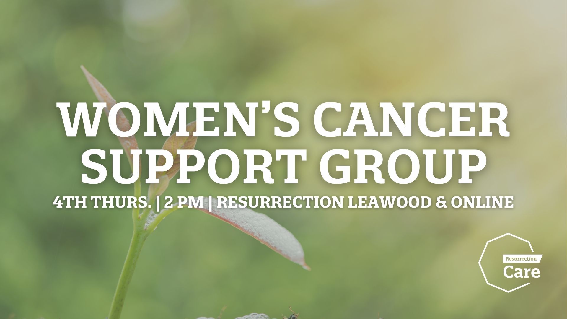 Women's Cancer Support Group WEB